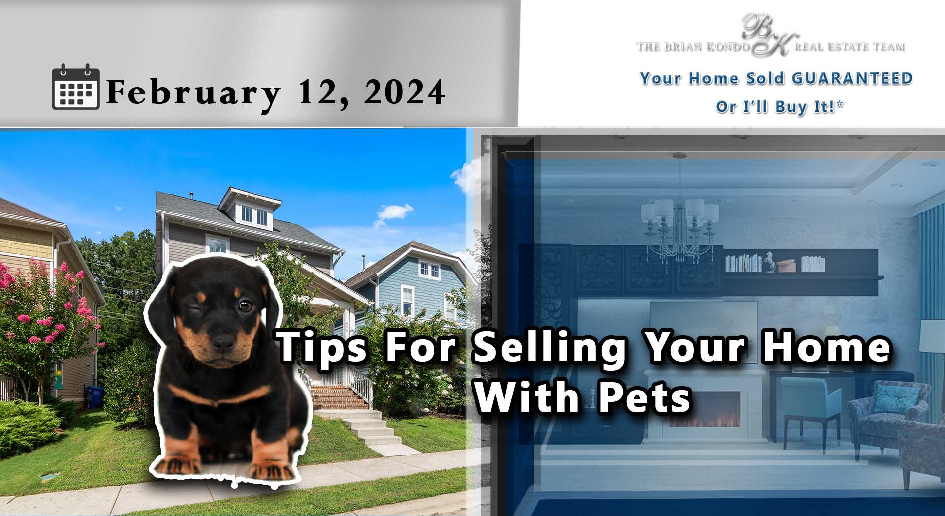 Tips For Selling Your Home With Pets