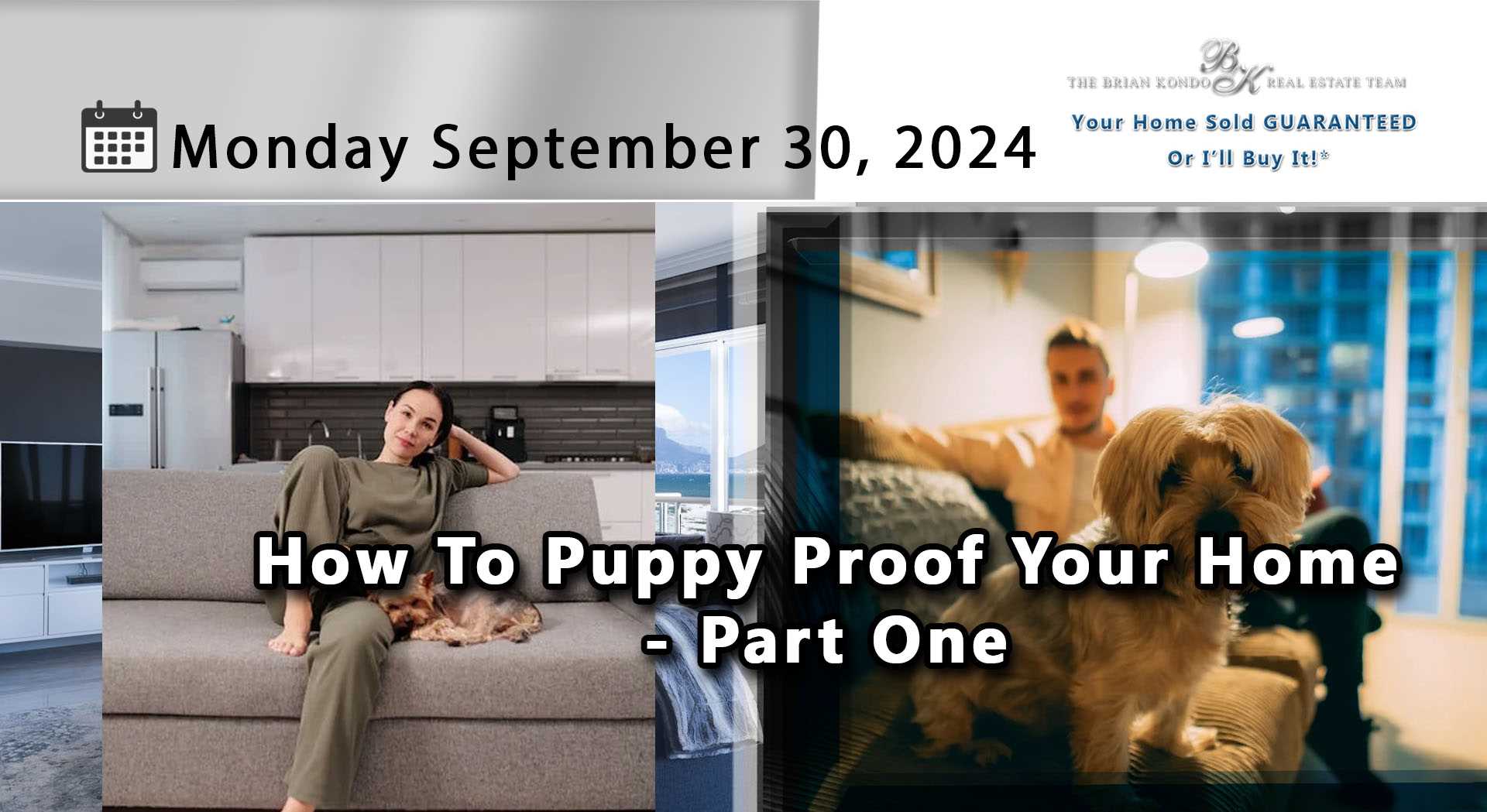 How To Puppy Proof Your Home - Part One