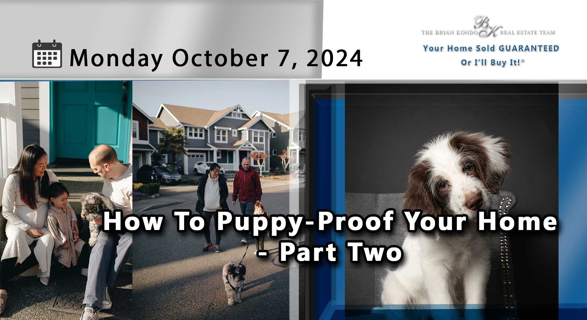 How To Puppy-Proof Your Home - Part Two